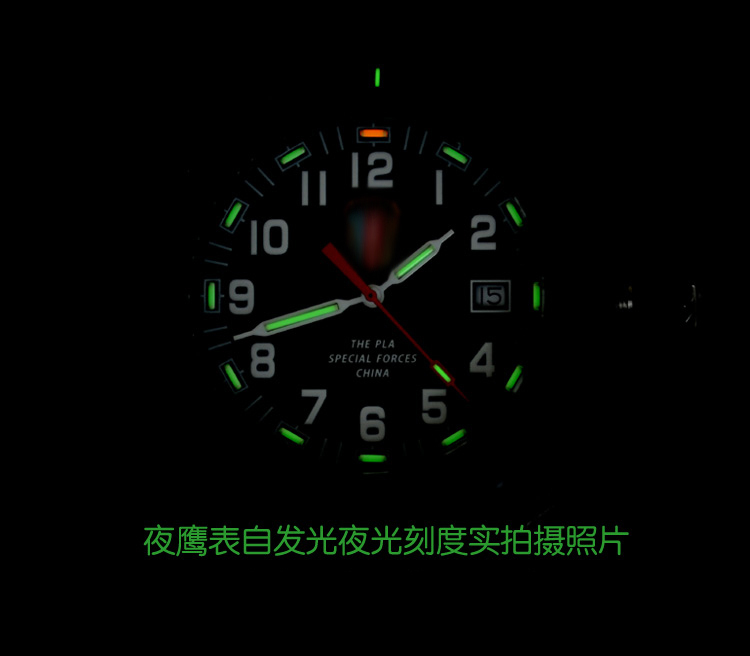 特种兵专用表特种兵手表军用手表军工手表中国军表军用表特战表男式腕表212-750.jpg